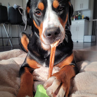 BULK 12 inch Standard Bully Sticks