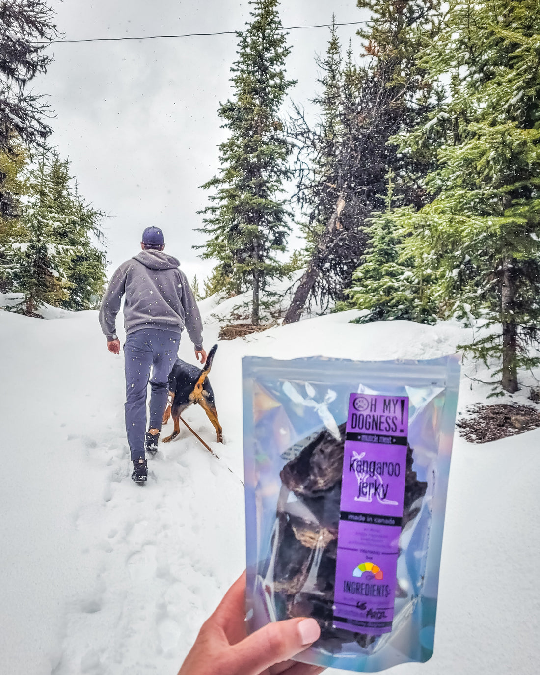 Ground Kangaroo Medallions