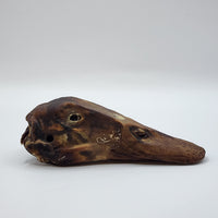 Duck Heads