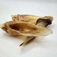 (NEW) Furless Lamb Ears