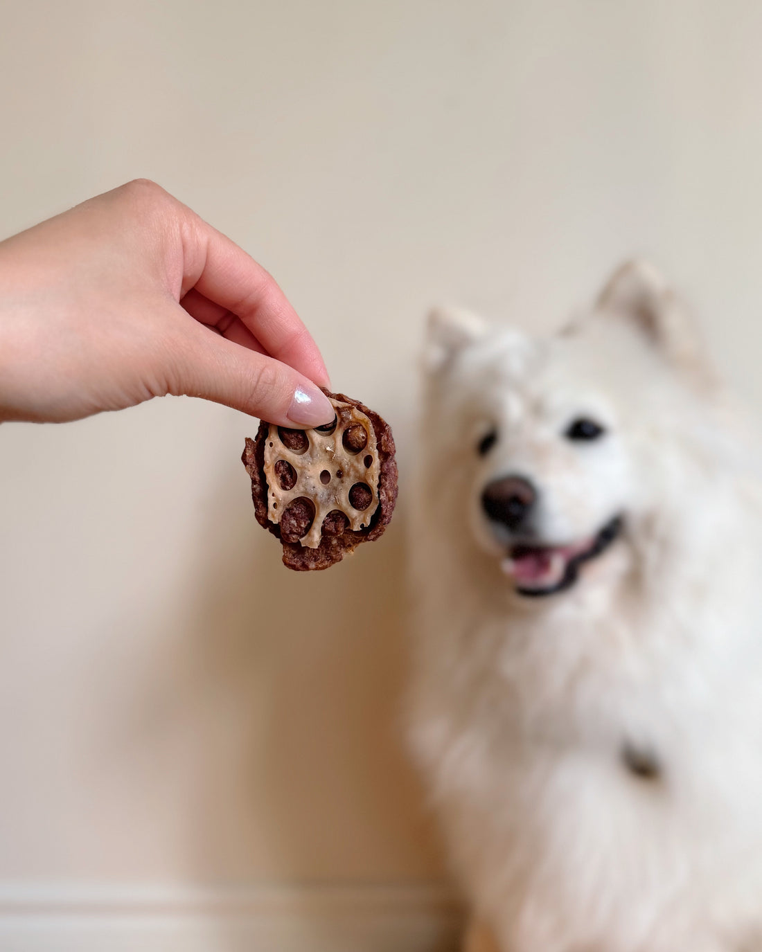 GROUND PORK WITH LOTUS ROOT AND UBE
