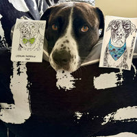 Mystery Pack BY MATTHEW
