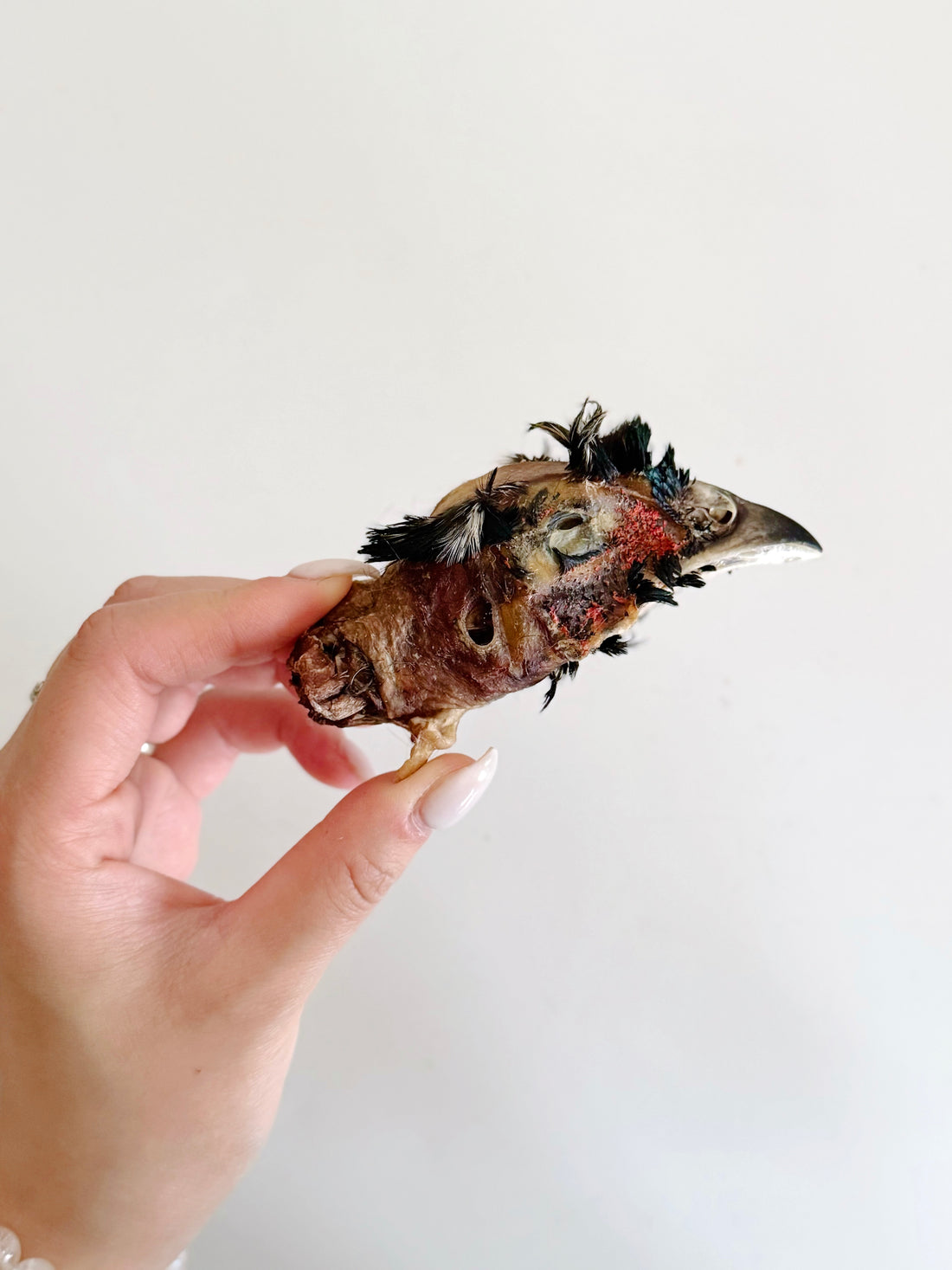 (Limited Release) Pheasant Heads