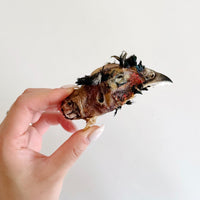 (Limited Release) Pheasant Heads