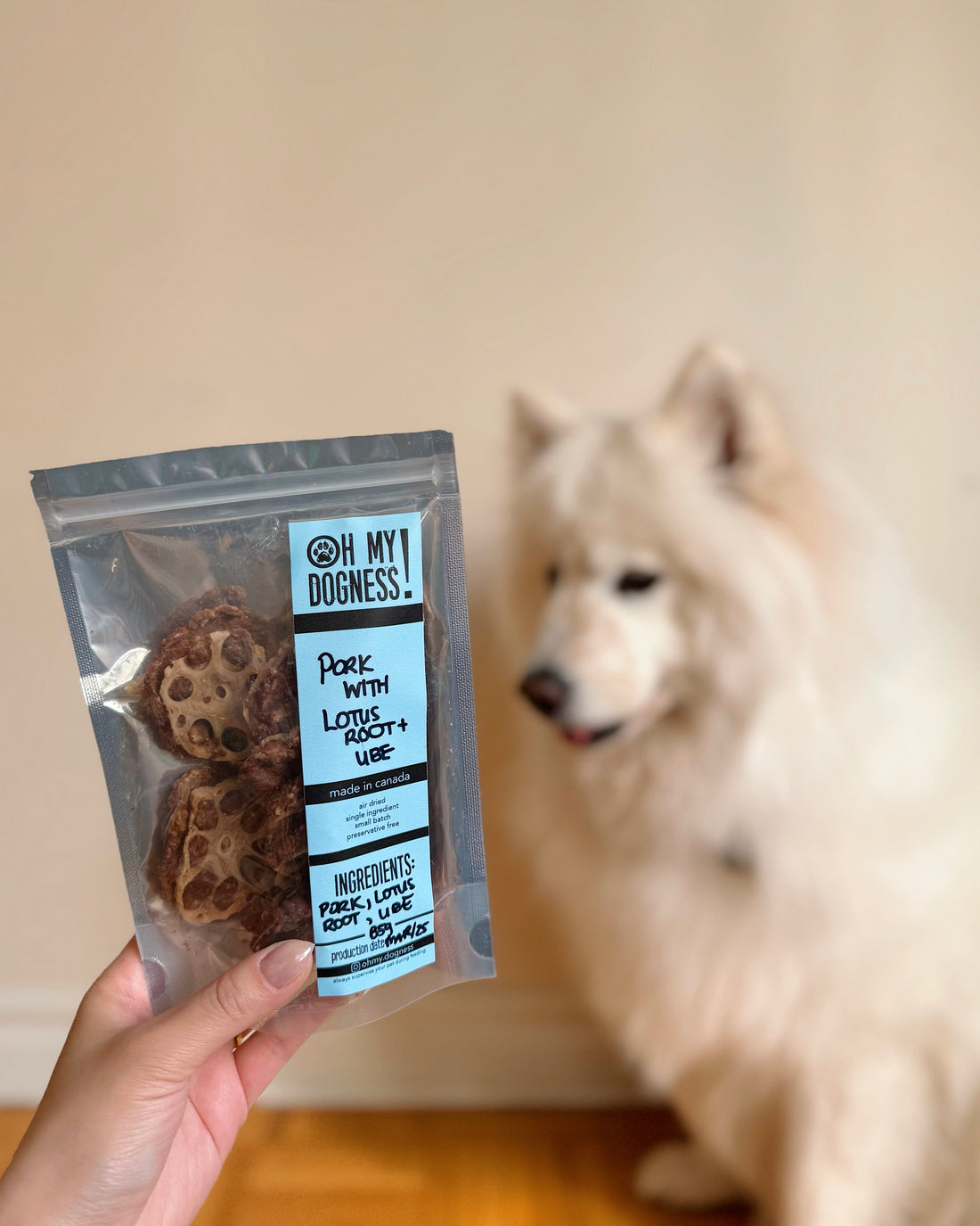 GROUND PORK WITH LOTUS ROOT AND UBE