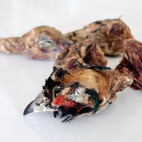 (Limited Release) Pheasant Heads
