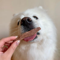 Freeze Dried Duck Breast Strips