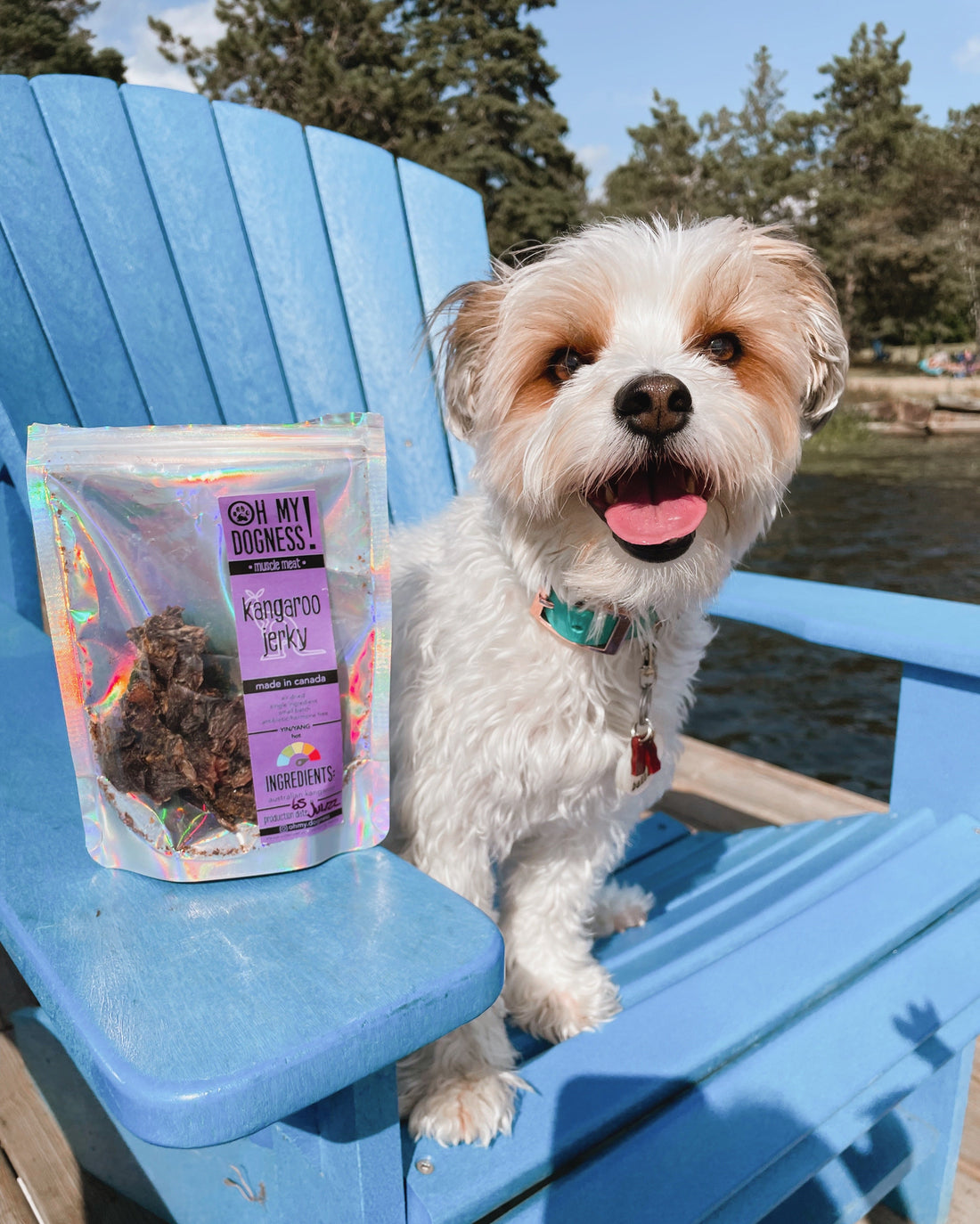 Ground Kangaroo Medallions