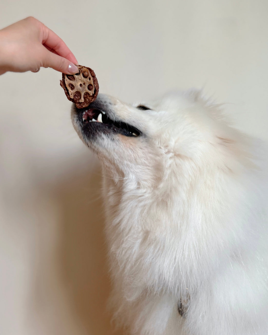 GROUND PORK WITH LOTUS ROOT AND UBE
