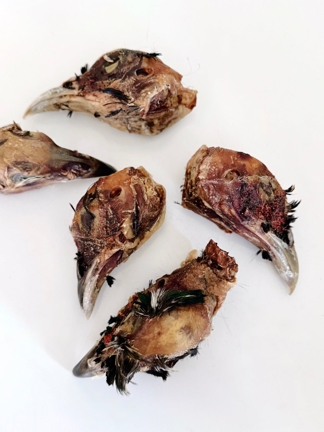 (Limited Release) Pheasant Heads