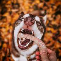Freeze Dried Chicken Necks