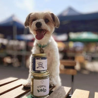 NEW - Holisticanine - Organic Icelandic Kelp | Skin + Coat, Dental, Allergy Supplement