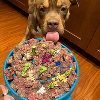 Freeze-dried Red Dragon Fruit Toppers/chunks