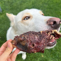 (NEW) Turkey Heads