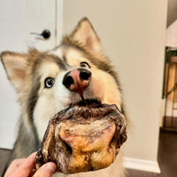 Beef Snouts