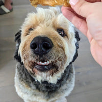 Chicken Comb