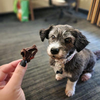 Kangaroo Jerky