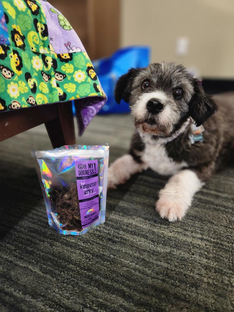 Ground Kangaroo Medallions