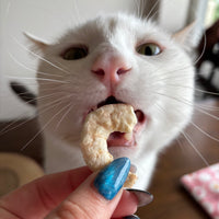Freeze Dried Shrimp