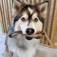 Lamb Ears (Fur On)