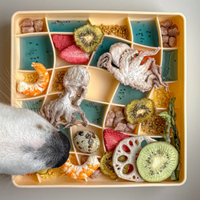 Olliebgood - wavies slow feeder bowl | clementine