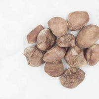 Freeze Dried Duck Gizzards (Limited Release)