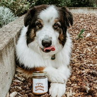 NEW - Holisticanine - Organic Golden Turmeric | Anti-Inflammatory, Arthritis + Joint Relief Supplement