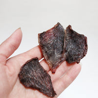 Ground Kangaroo Medallions