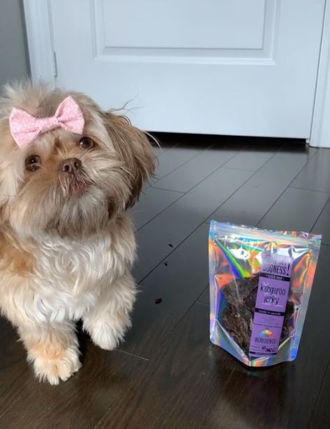 Ground Kangaroo Medallions