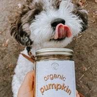 NEW - Holisticanine - Organic Pumpkin | Digestive & Fiber Supplement