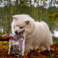 Freeze Dried Rabbit Slices