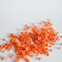 Freeze Dried Premium Fish Caviar (Roe)