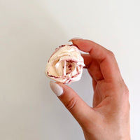 LIMITED EDITION - Freeze Dried Squid Rose
