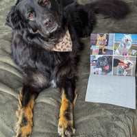 2026-2027 OMD Fundraising Calendar