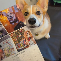 2026-2027 OMD Fundraising Calendar