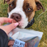 Freeze dried Beef Jerky Bites
