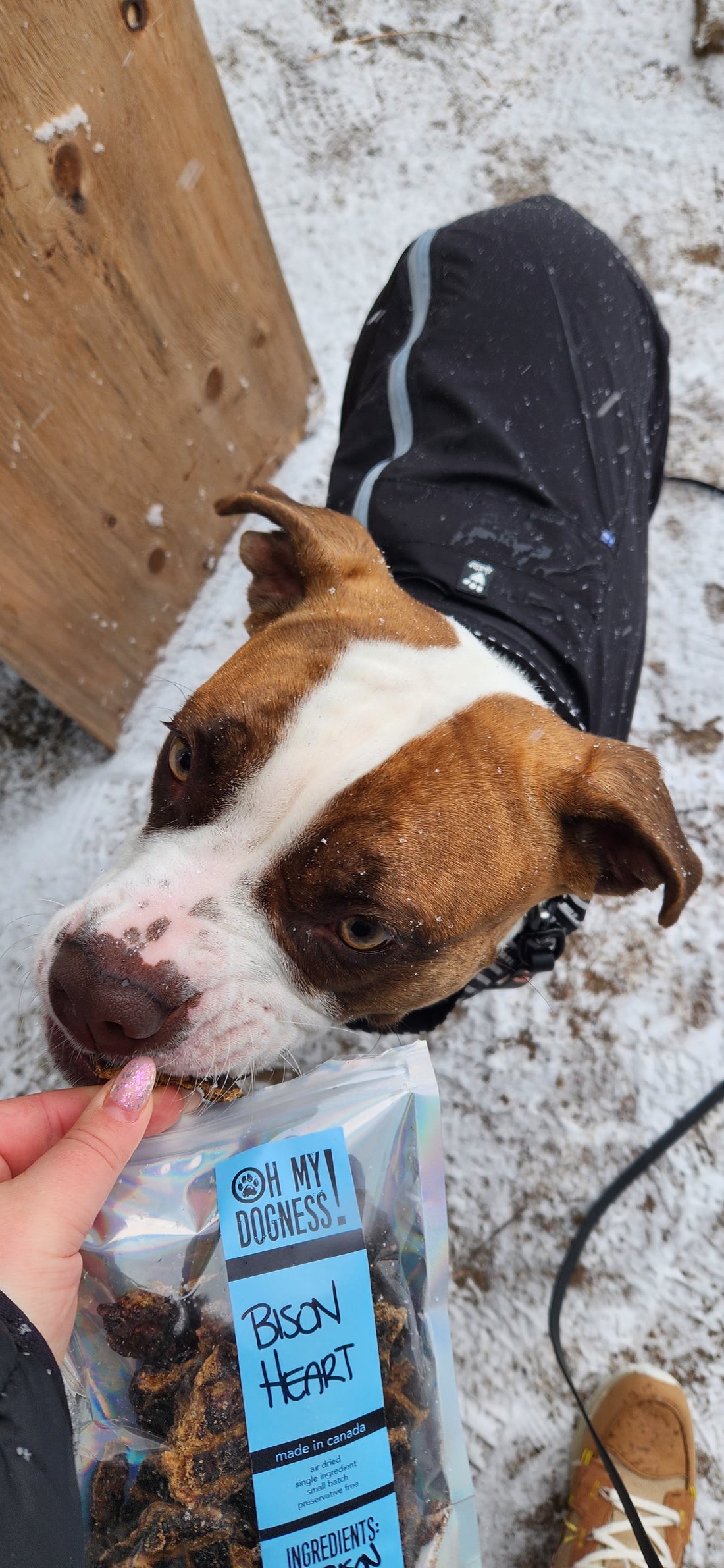 Bison Heart (ground)