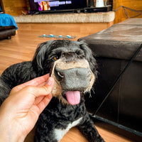 Beef Snouts