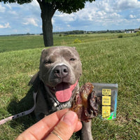 Chicken Gizzard