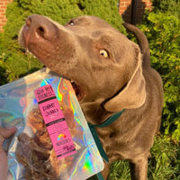 Rabbit Jerky