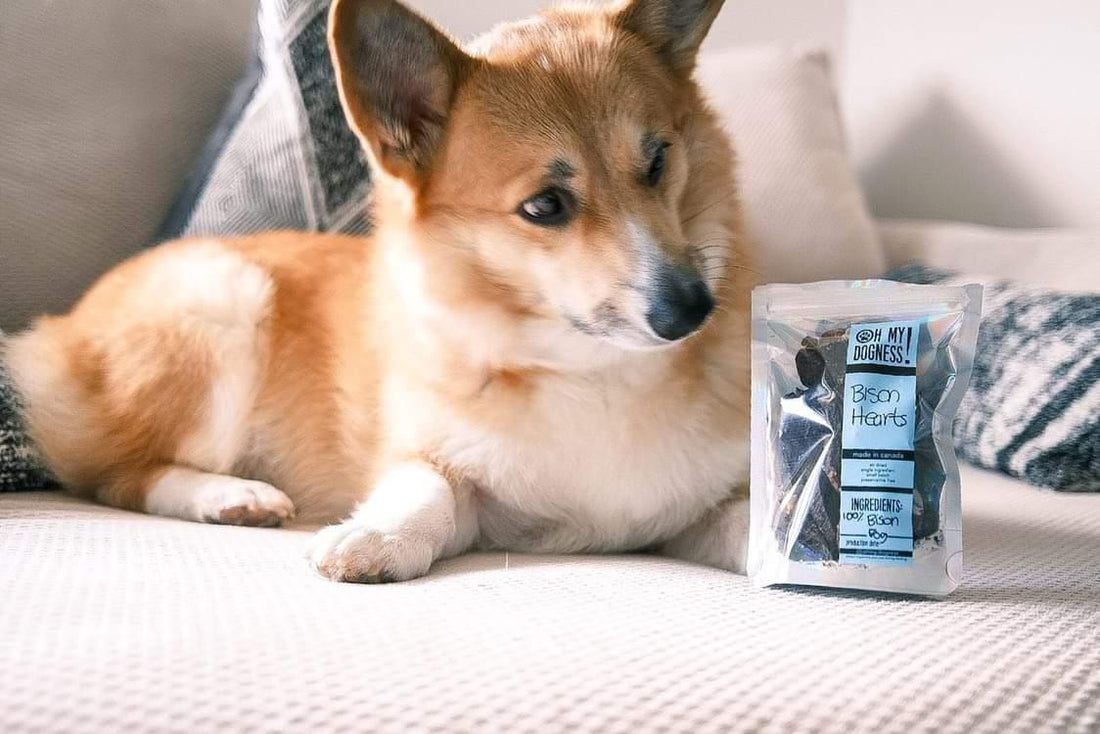 Bison Heart (ground)