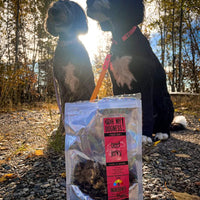 Angus Beef Jerky Bites