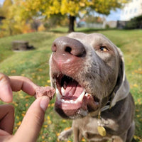 Freeze dried Beef Jerky Bites