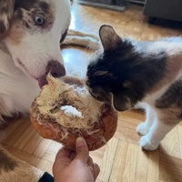 Rabbit Hide Donut (Fur On)