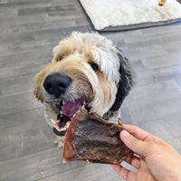Beef Snouts