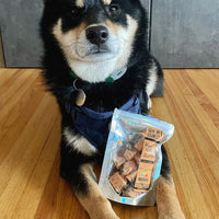 Freeze Dried Salmon Bites