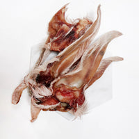 Lamb Ears (Fur On)