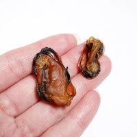 Blue Lipped Mussels