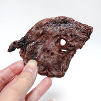 Beef Lung