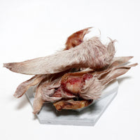 Lamb Ears (Fur On)